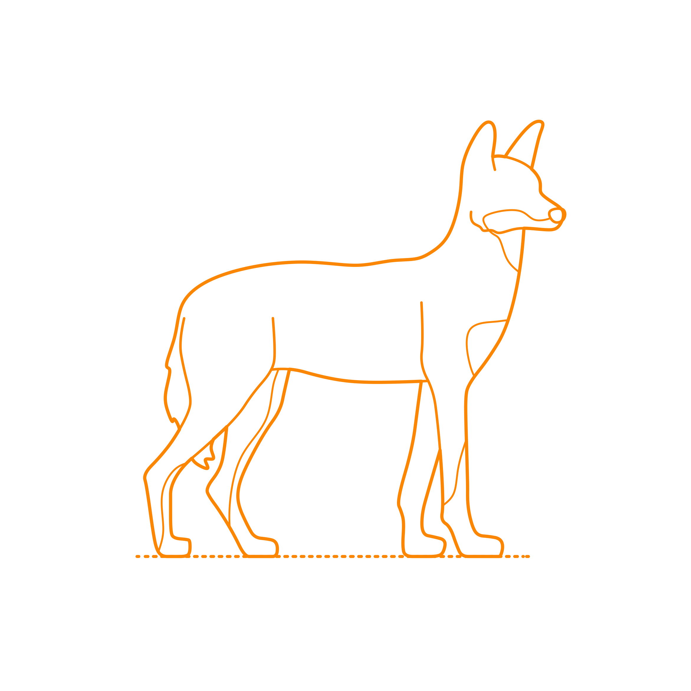 Animals Canini Ethiopian Wolf Editable Svg Line Art Free Vectors